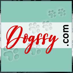 Dogssy.com Domain